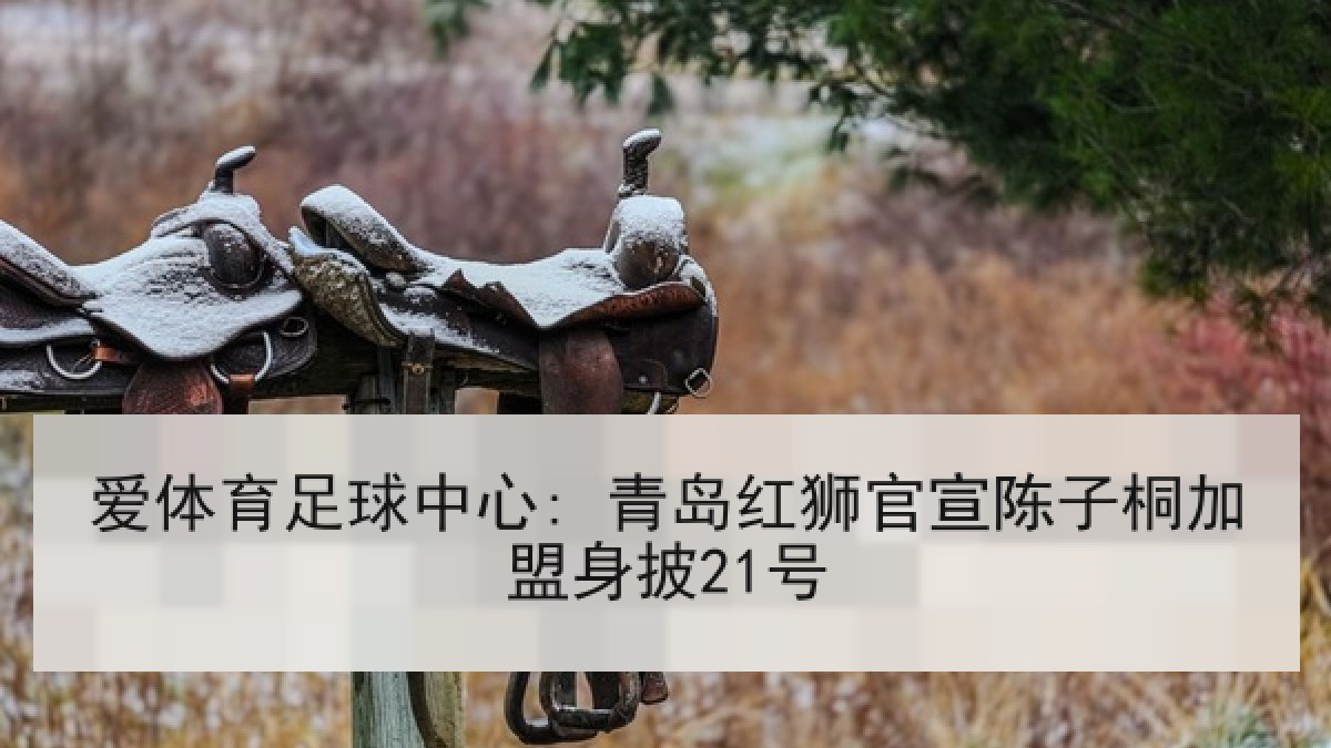 爱体育足球中心: 青岛红狮官宣陈子桐加盟身披21号