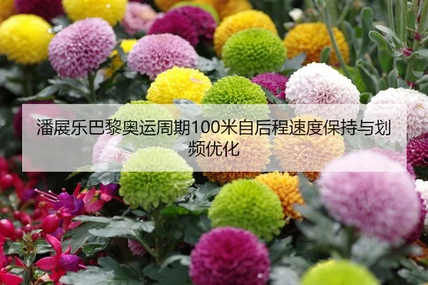潘展乐巴黎奥运周期100米自后程速度保持与划频优化